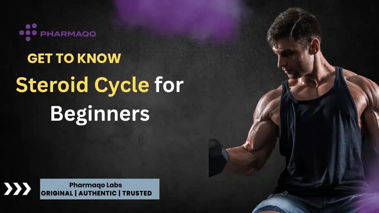 Steroid Cycle