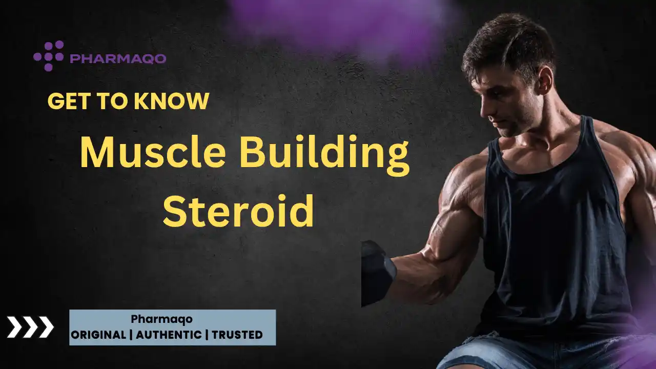Muscle Building Steroid