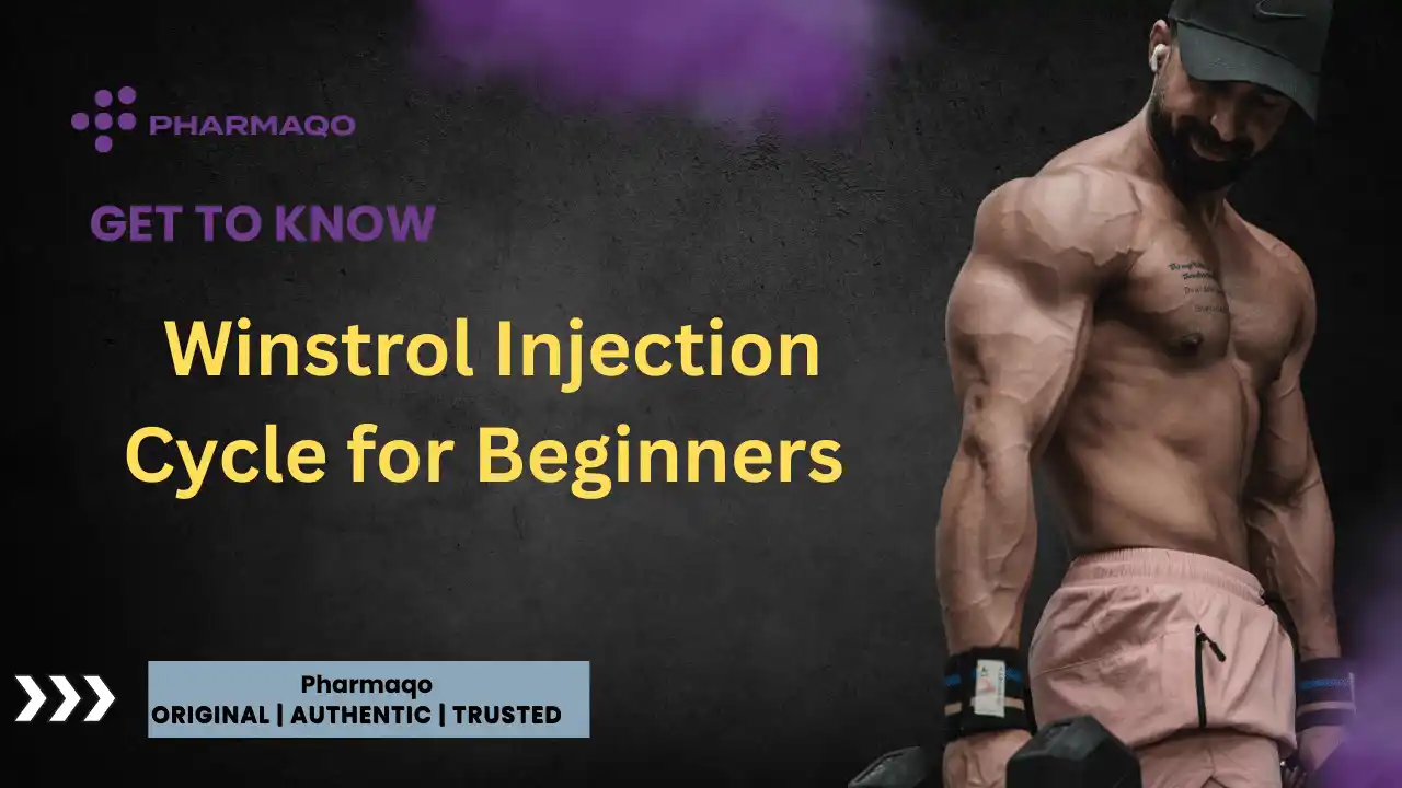 Winstrol Injection Cycle for Beginners