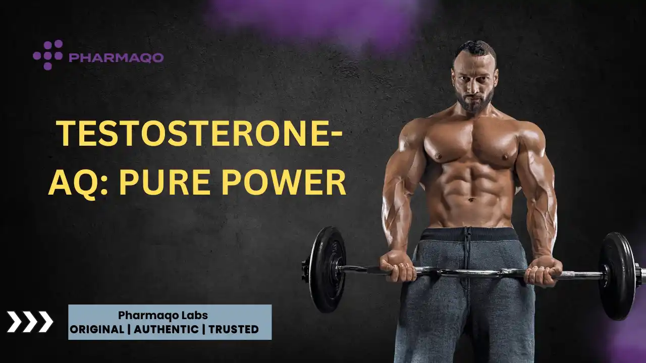 Testosterone-AQ: Pure Power