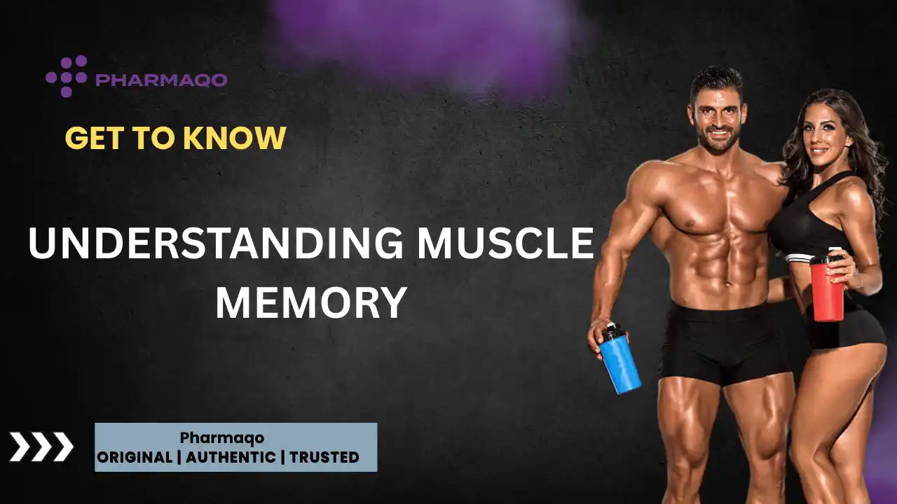 Understanding Muscle Memory